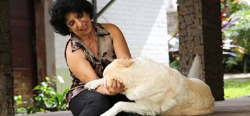 20082012_isabel_cachorro_gustavo.jpg