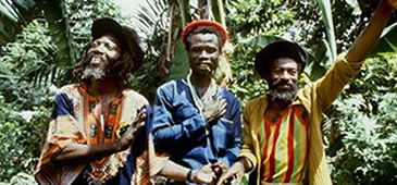 21082012_Abyssinians_01.jpg