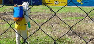 11112012_aplicacao_agrotoxico_sd.jpg