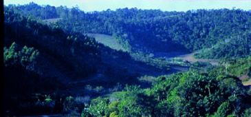 15112012_mata_Arquivo.jpg