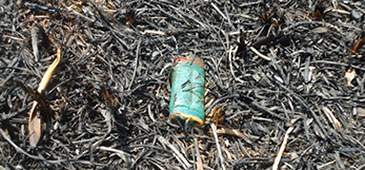 08012013_isqueiro_incendio_jacarenema_AssessoriaOsvaldoMaturano.png