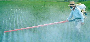 19032013_agrotoxicos_divulgacaoCIENCIAHOJE.png