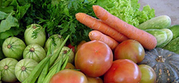 23052013_alimento_20200308-082401_1.png