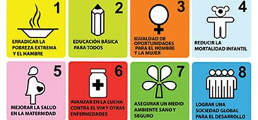 28052013_metas_milenio_divulgacao.jpg