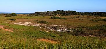 100613_ArealBarradoJucu_01.jpg