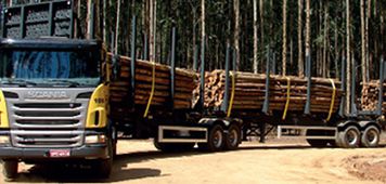 16062013_carreta_eucalipto_divulga_scania.jpg