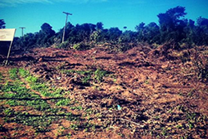 10072013_aracruz2.png