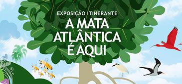 19072013_sosmaanchieta.jpg