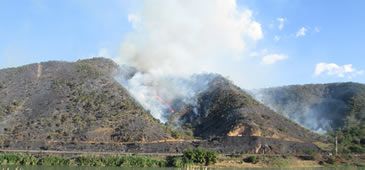 12082013_itabinaCAPA.jpg