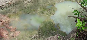 15082013_topo_cesan.jpg