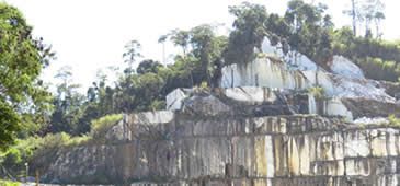 02092013_camilocolacapa.jpg