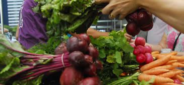 19092013_organicos_pmv.jpg