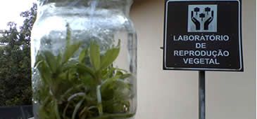 25092013_orquideas11.jpg