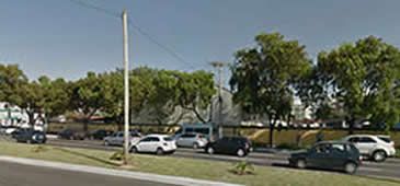 08102013_arvoresclubeoficiais_google.jpg