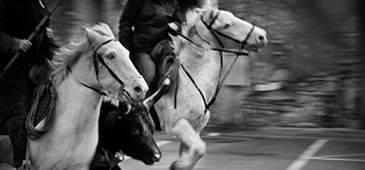 231013_BrunoZorzal_01.jpg