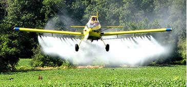 27092013_agrotoxicos_terradedireito_20200308-091703_1.jpg