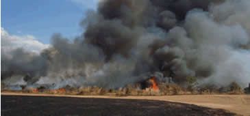 08112013_incendio_mpa.jpg