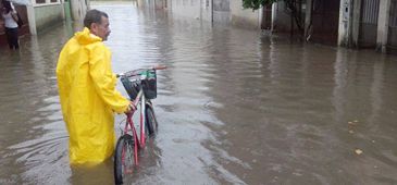 261113_vilavelha_ruadolixo_felipealves.jpg