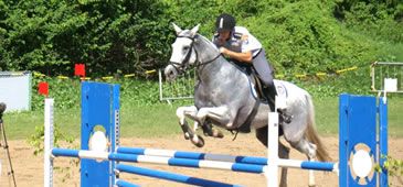 050613_torneio_hipismo_divulgacao_pme_20200308-094112_1.jpg