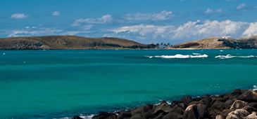 abrolhos_CharlesYoung-CIBrasil.jpg