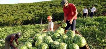 fotoagricultoresrurais_govES.jpg