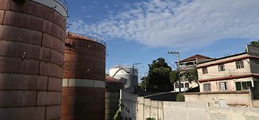 250314_Paul_GustavoLouzada_01.jpg