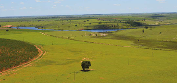 090414_suzano_rima_aquaambiental.png