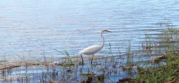 25042014_lagoagrande_pmvv.jpg