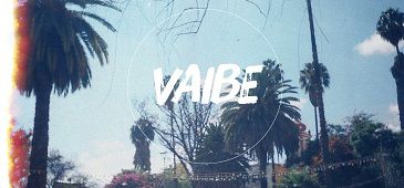 vaibe2.jpg
