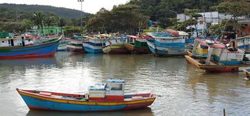 08052014_pesca_seag.jpg