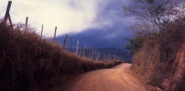 1_zorzal_foto_catalogo.jpg