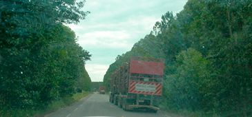 200514_carreta_eucalipto_riokan.jpg