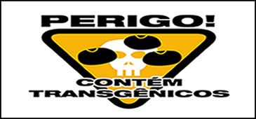 13062014_transgenicos_agroecologia_org1.jpg