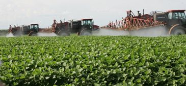 05072014_agrotoxicos_mst.jpg