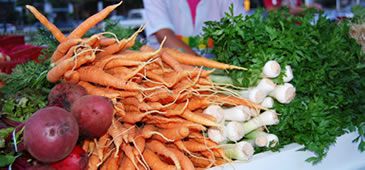 29072014_seag_organicos.jpg