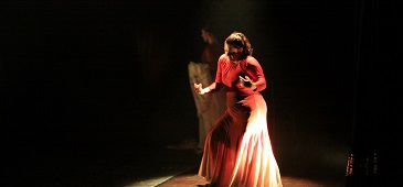 IMG_1516.jpg