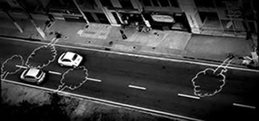 28082014_arvoresleitao.jpg