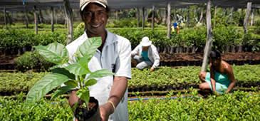 29082014_agriculturafamiliar_prefcolatina.jpg