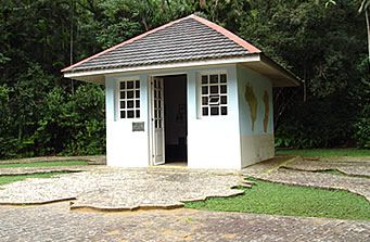 18042013_melloleitaoorquideas.jpg