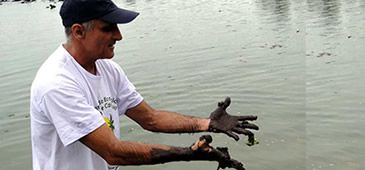 04042013_paulo_pedrosa_aap_20200308-123812_1.jpg