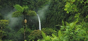 20141107_agcamara.jpg