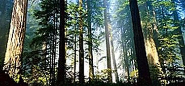20141117_AC_divulgacaoibama.jpg