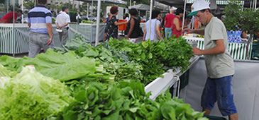 240613_feira_organicos_elizabethnader_pm_20200308-125221_1.jpg