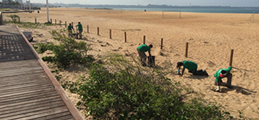 251214_restingalitoral_mpes.png