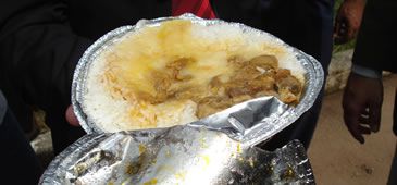 291013_cascudinha_amafav_20200308-124136_1.jpg