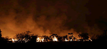 29122014_incendio_itaunas_apoena.gif