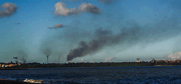 22012015_tubarao_leo.gif