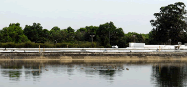 29012015_ete_camburi_cesan.gif