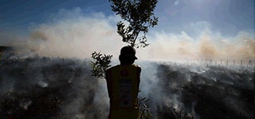 03022015_incendio_leo_pora.gif