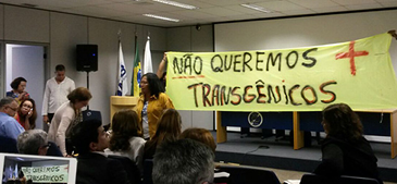 060315_tansgenicos_mst.png